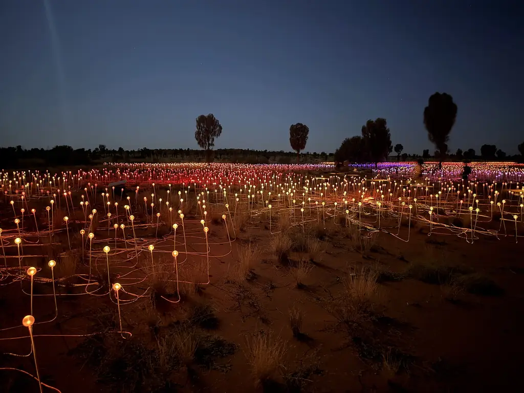Thousands of glowing stems of the Field of Light installation at dusk near Uluru