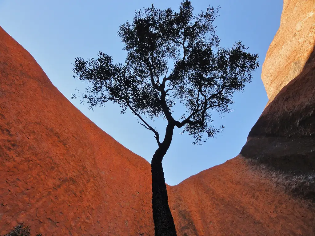 Kantju Gorge on the northern side of Uluru