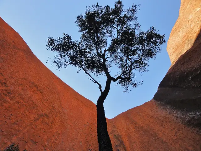 Kantju Gorge on the northern side of Uluru