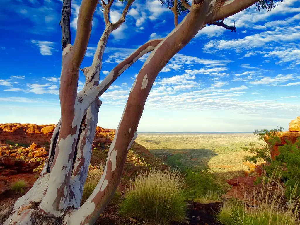 Sandstone walls of Kings Canyon in Watarrka National Park