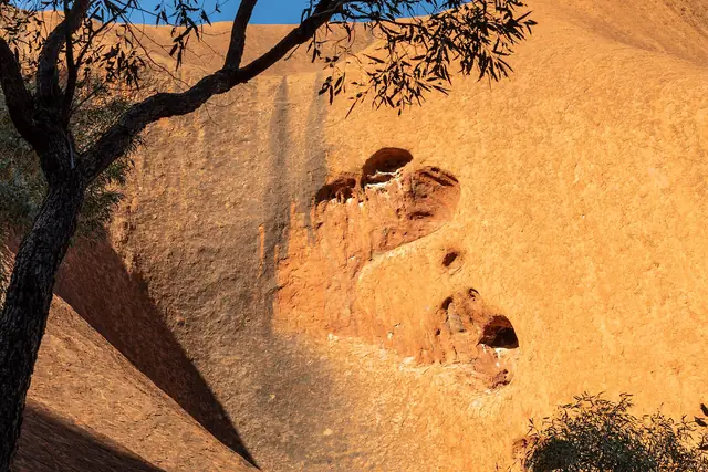 Weathered caves and curved rock walls along the Kuniya Walk at Uluru
