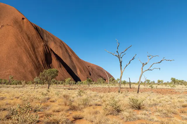 Shaded track along the base of Uluru on the Kuniya Walk section of the base walk