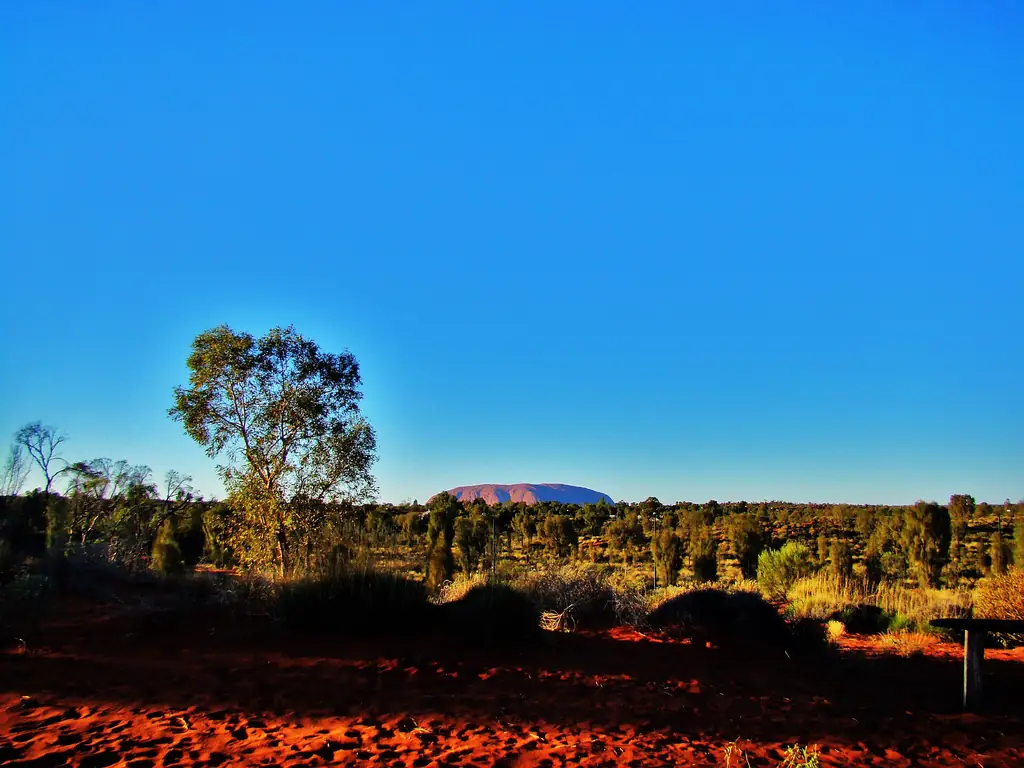 View of Uluru from the Naninga Lookout in Yulara