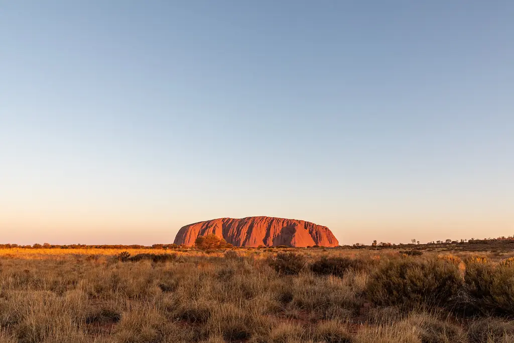 Wide view of Uluru across spinifex and desert oaks