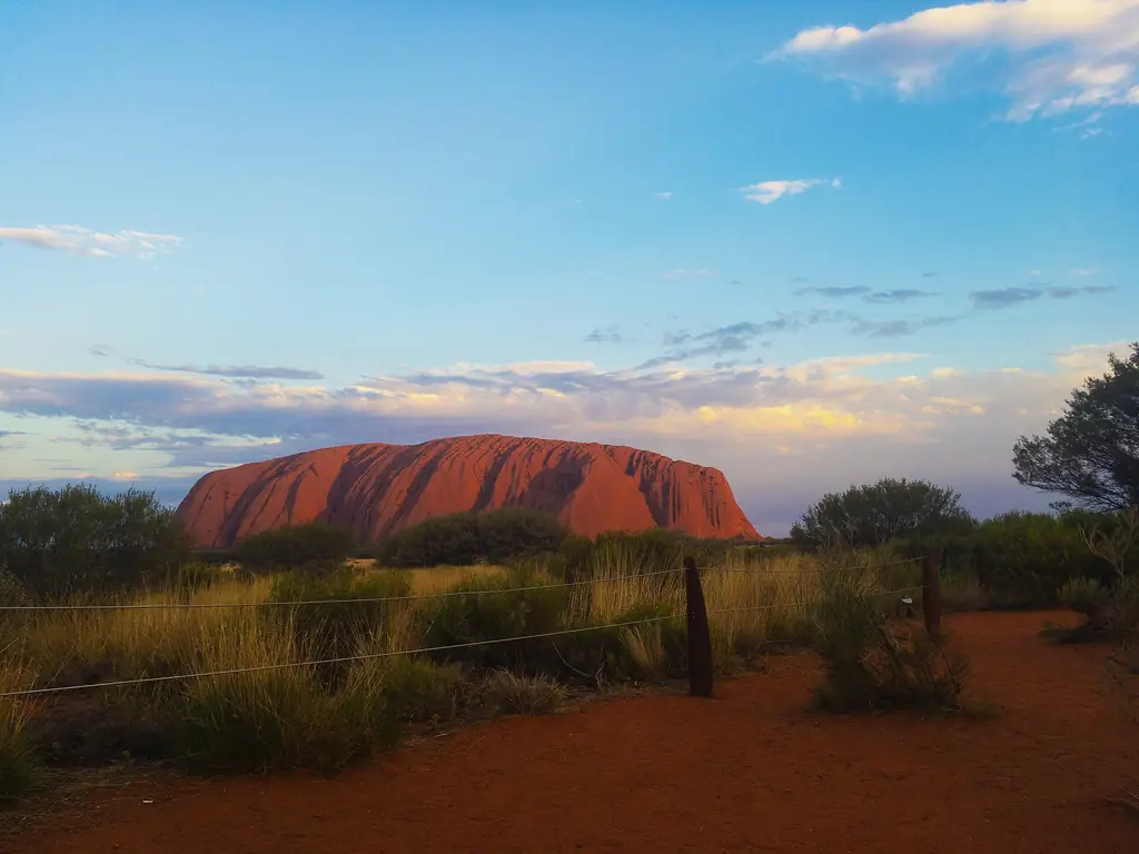 Uluru at sunset with desert vegetation in the foreground