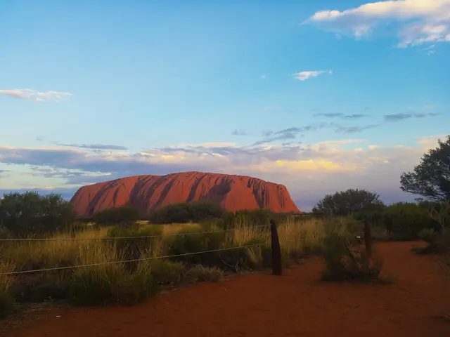 Uluru at sunset with desert vegetation in the foreground